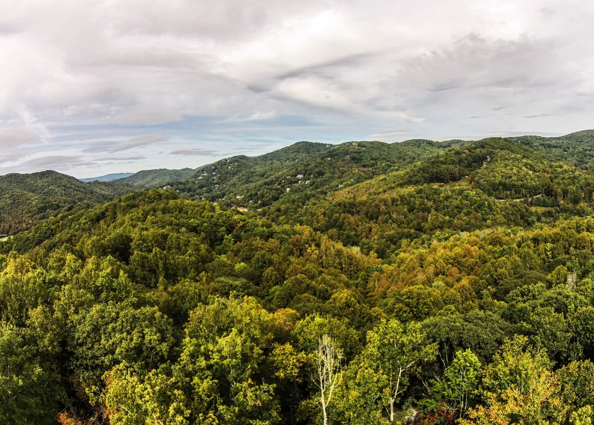 This image captures rolling hills covered in dense trees beneath a cloudy sky, evoking the vast beauty and tranquility of the Blue Ridge Mountains that surround the property. The view suggests a peaceful environment ideal for hiking, birdwatching, and family exploration.