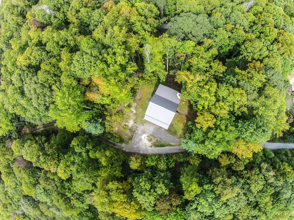 The exterior shot of the home is nestled among towering trees, with a welcoming driveway leading up to the house. The lush surroundings highlight the cabin's private, nature-immersed setting, ideal for families keen to explore and reconnect with nature.